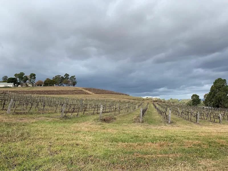 Tamburlaine Organic Wines winery in Pokolbin, NSW