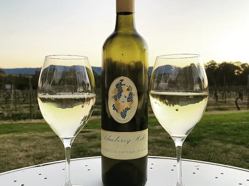 Hope Estate winery in NSW