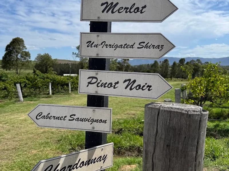 Hope Estate winery in NSW