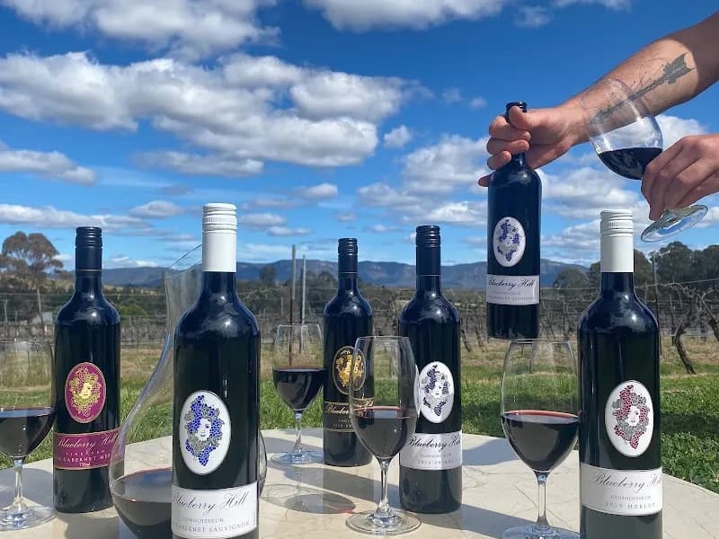 Hope Estate winery in NSW