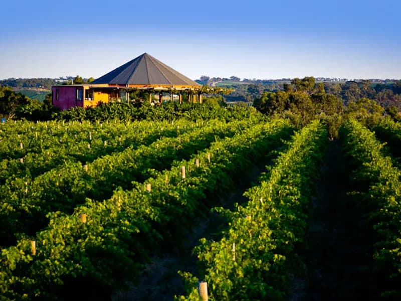 Hugh Hamilton Wines winery in McLaren Vale, SA