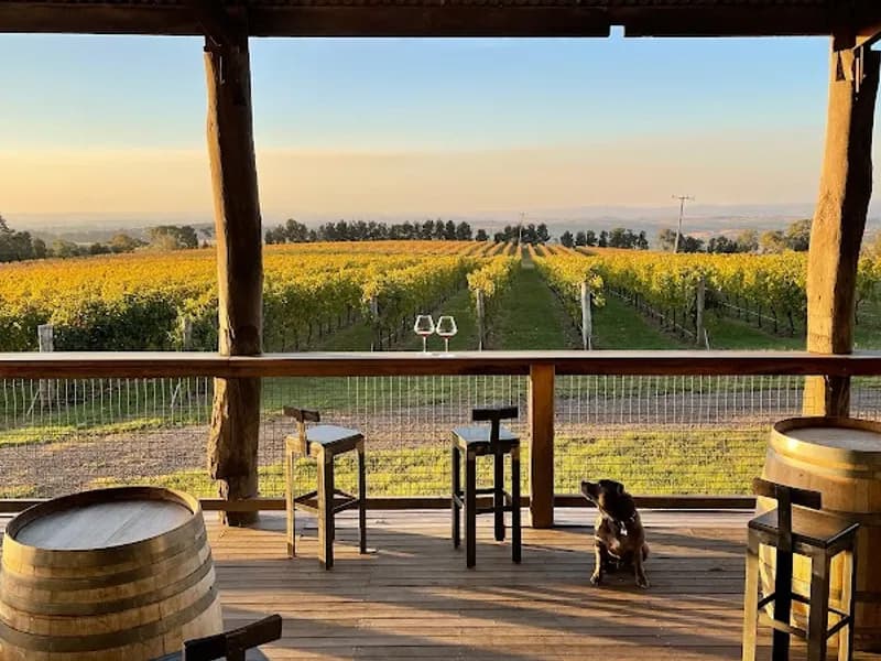 Two Tails Wines winery in Nana Glen, NSW