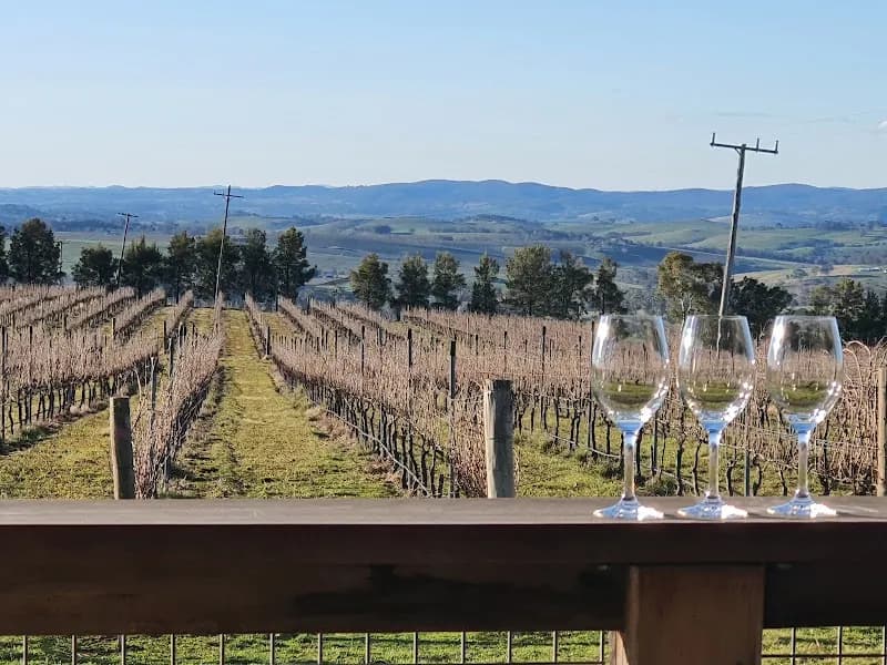 Two Tails Wines winery in Nana Glen, NSW