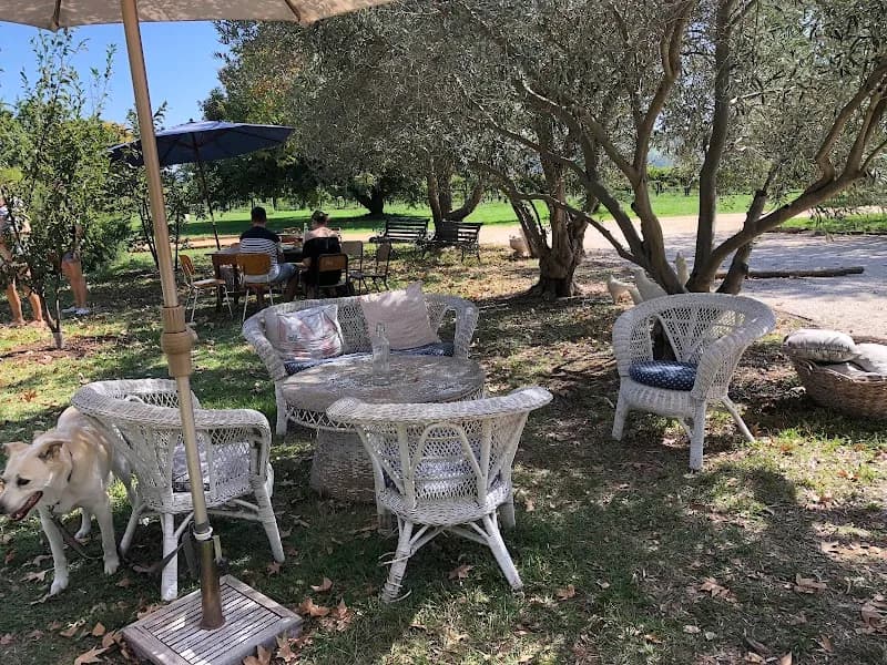 Heifer Station winery in NSW