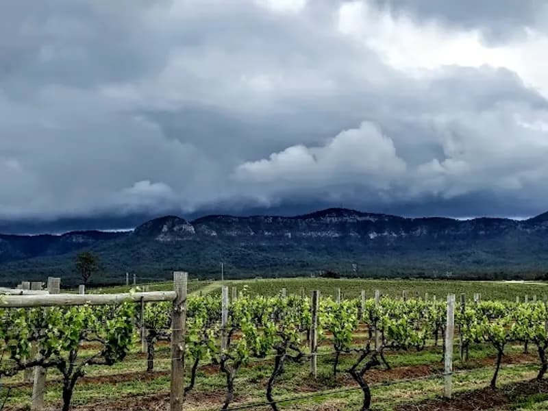 De Salis Wines winery in NSW