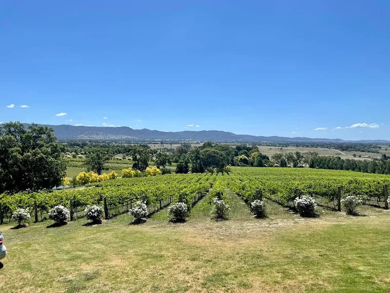 Slow Fox Wines winery in NSW