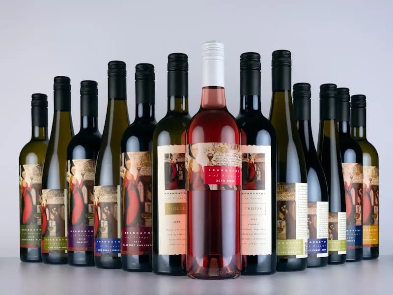 Lowe Family Wine Co winery in Eurunderee, NSW