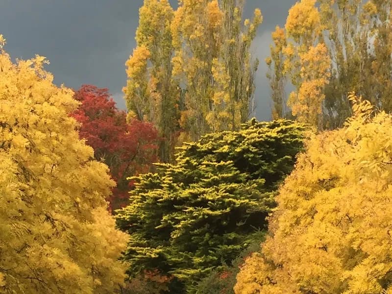 Lowe Family Wine Co winery in Eurunderee, NSW