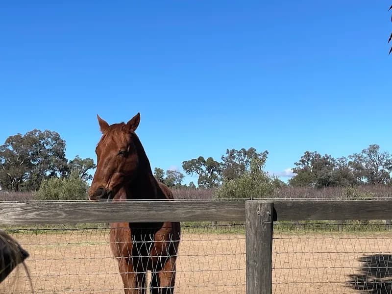 10’s Estate winery in Eurunderee, NSW