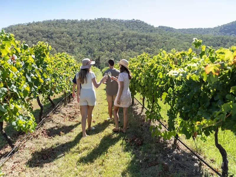 Ferrets Run Winery winery in NSW