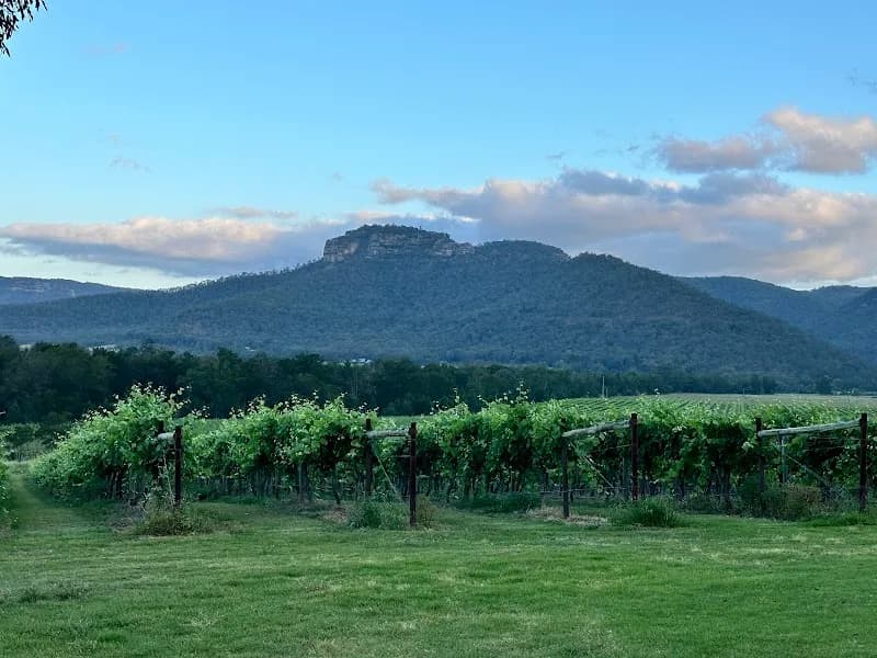 Silos Estate Berry winery in NSW