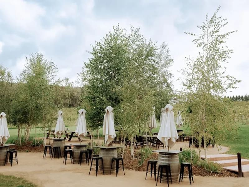 Lindemans winery in NSW