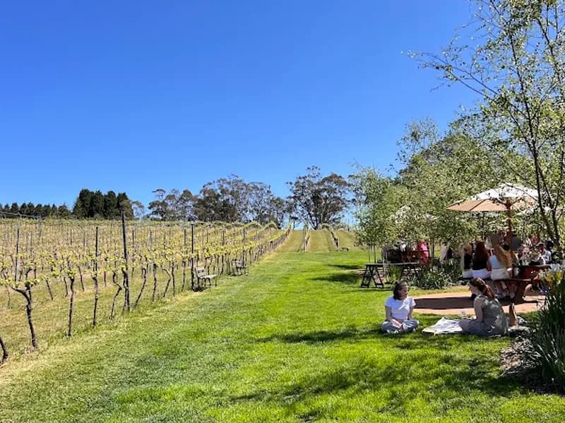 Lindemans winery in NSW