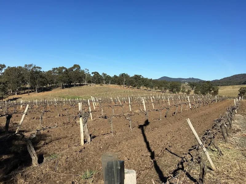 Walter Wines winery in Eurunderee, NSW