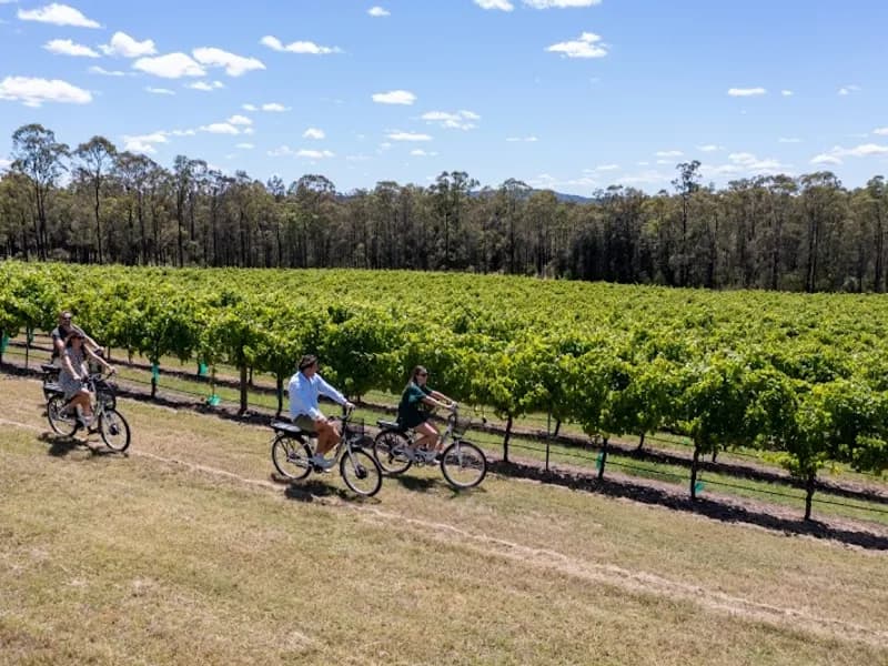 Thomas Allen Wines winery in Pokolbin, NSW