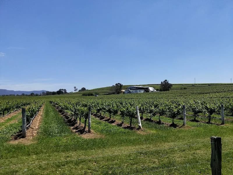 Wombat Crossing winery in Pokolbin, NSW