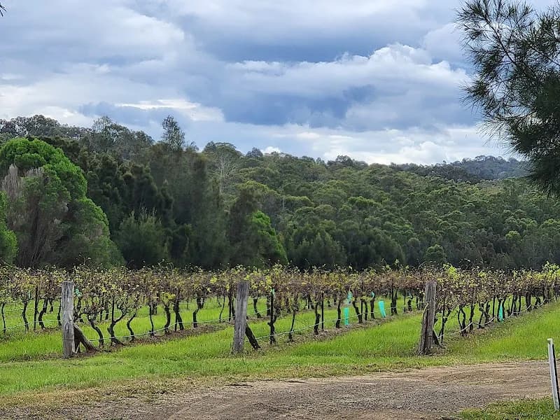 Degen Wines winery in Pokolbin, NSW