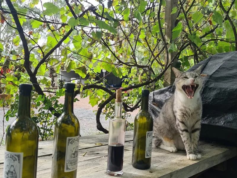 Tintilla Estate Wines winery in Pokolbin, NSW