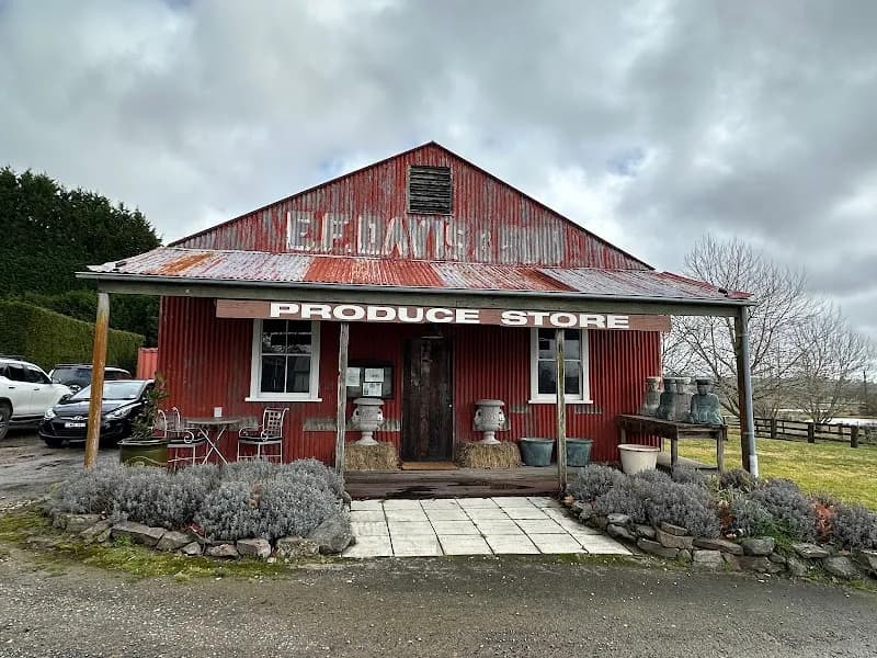 Merilba Estate Winery Restaurant winery in NSW