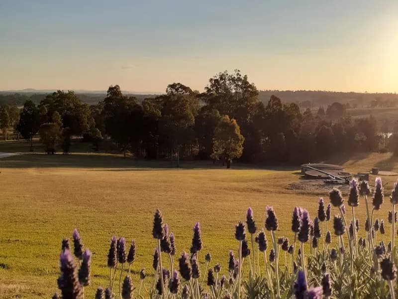 Rock Frog Grange winery in NSW