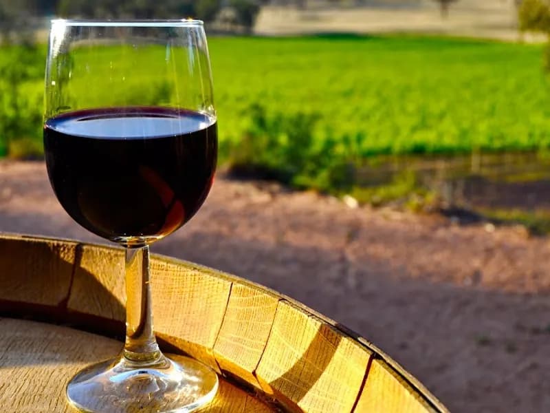 Mt Ashby Estate winery in Moss Vale, NSW