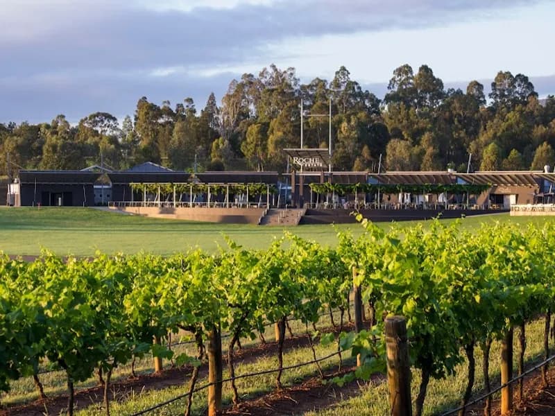 Macquariedale Organic Wines winery in NSW