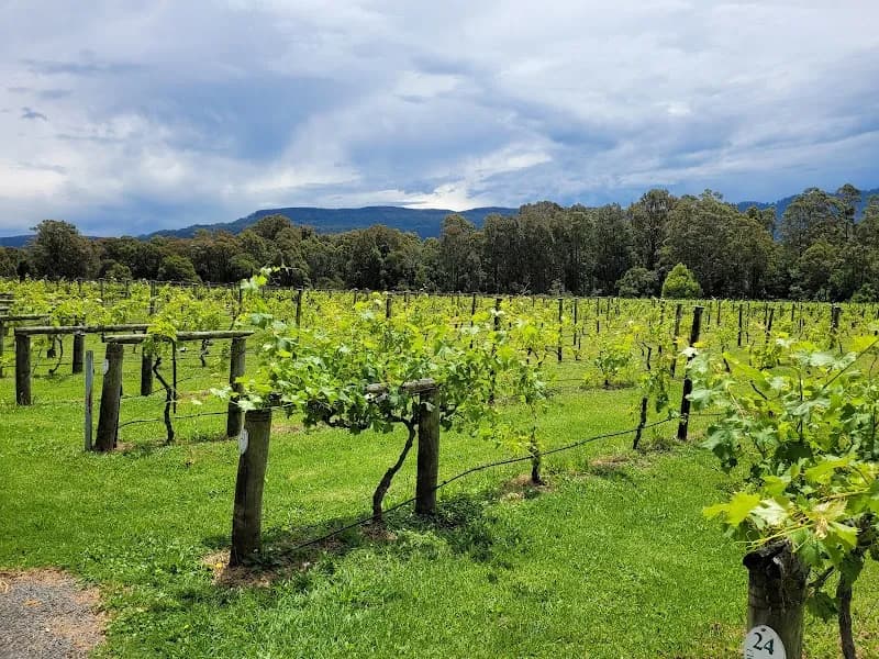 Roche Estate winery in Pokolbin, NSW