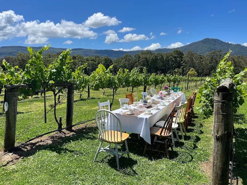 Roche Estate winery in Pokolbin, NSW
