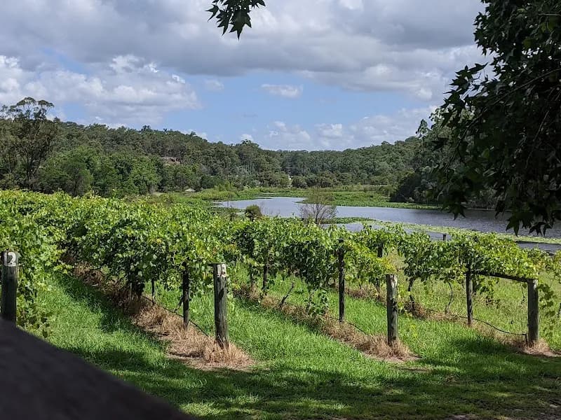 Hope Estate (Vineyard and Concert) winery in NSW