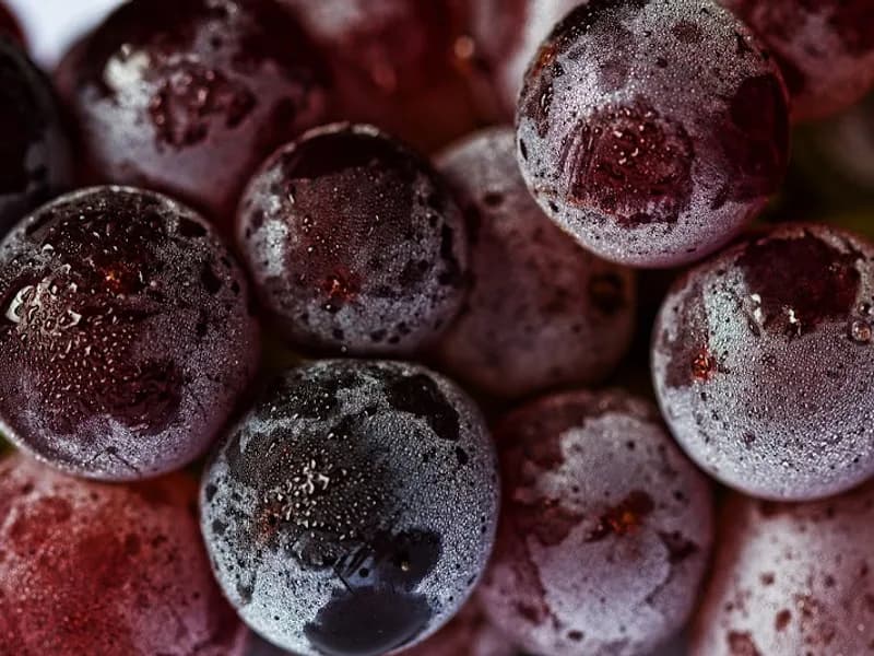 Fires Creek Fruit Wines winery in NSW