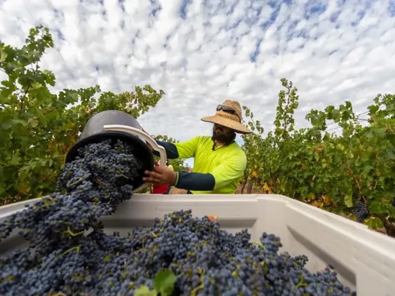 Grosset Wines winery