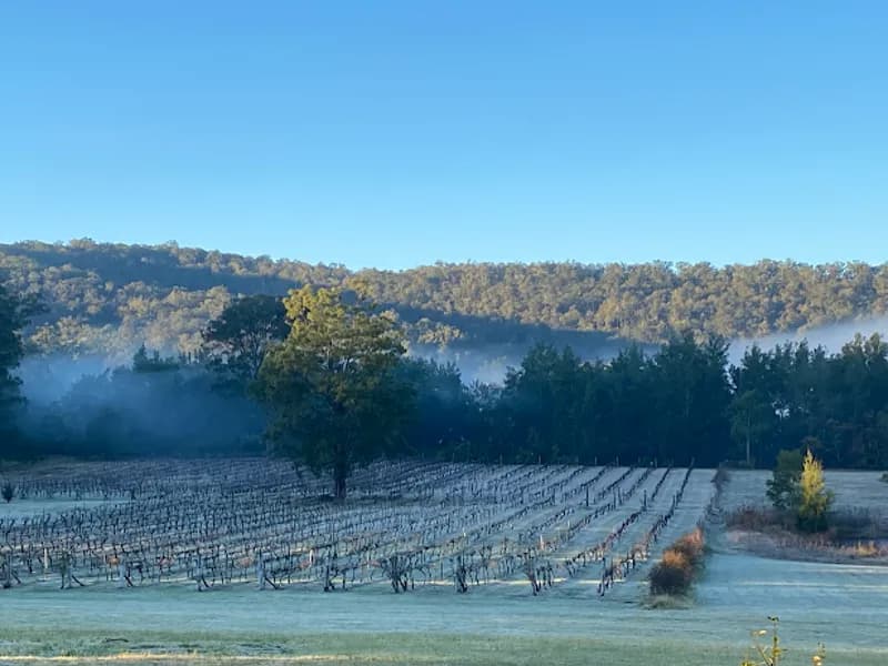 Tizzana Winery winery in Ebenezer, NSW