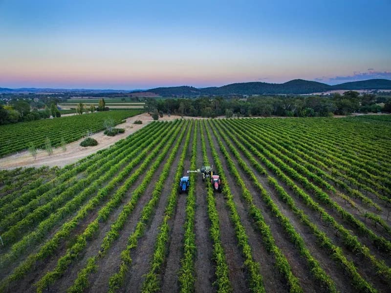 di Lusso Estate winery in NSW