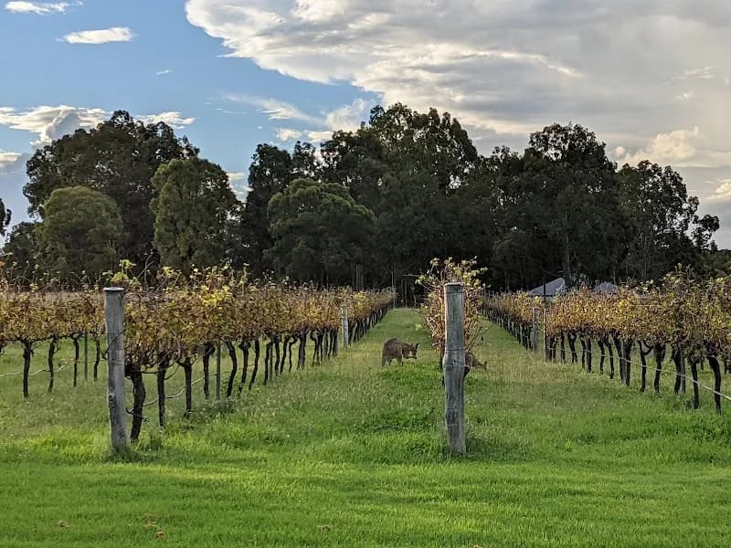 Peterson Wines winery in NSW