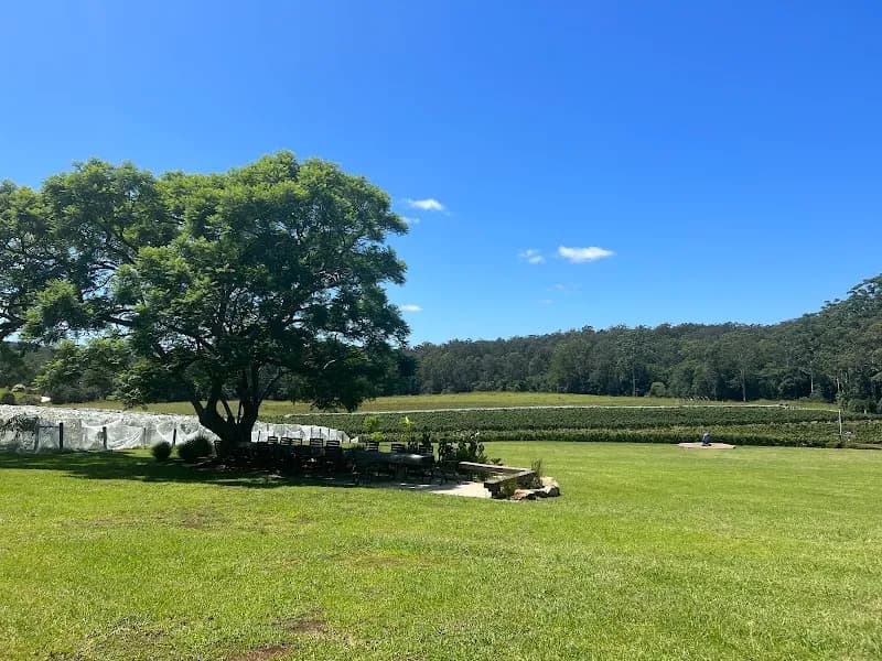Oakvale Wines winery in Pokolbin, NSW