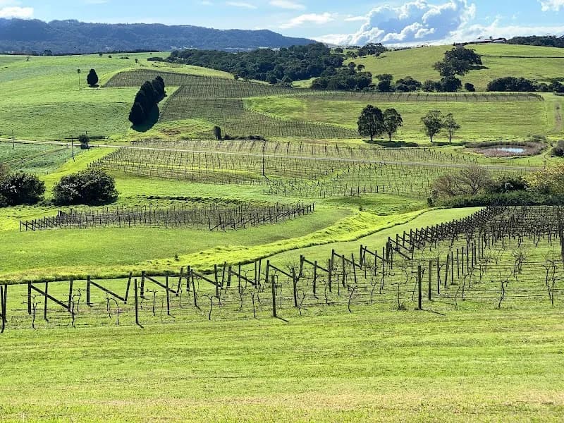 St. Maur Wines winery in Exeter, NSW