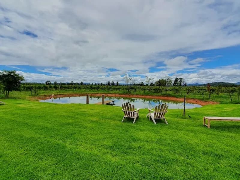 Crooked River Wines winery in NSW