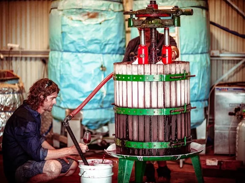 Tamburlaine Organic Wines winery in NSW