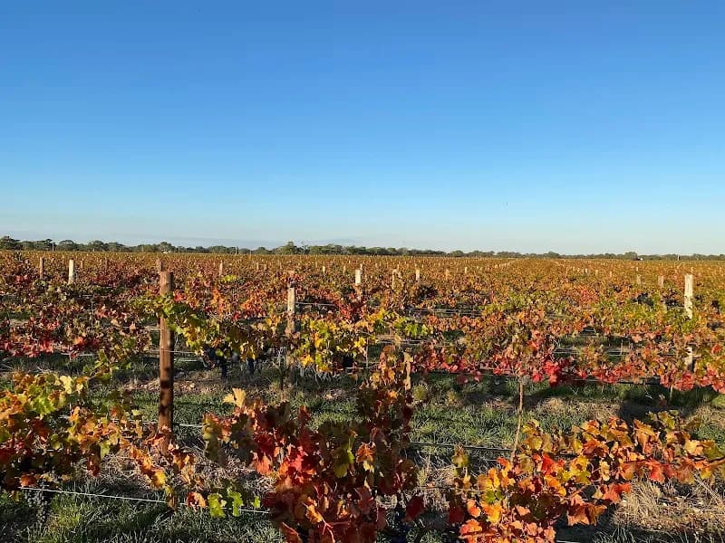 Majella Wines winery in Coonawarra, SA