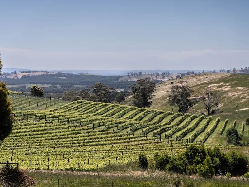 Boggy Creek Winery winery in Myrrhee, VIC