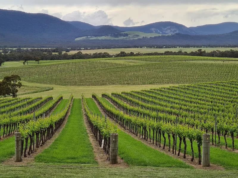 King River Estate winery in VIC