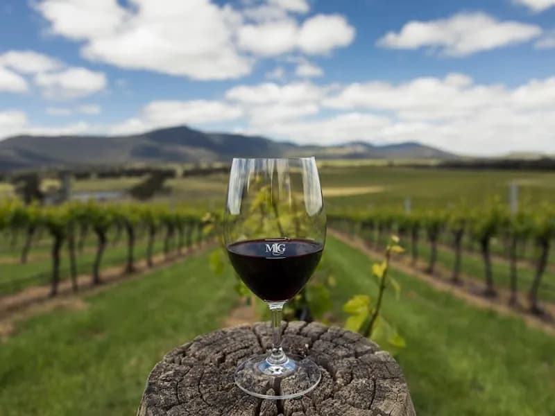 King River Estate winery in VIC