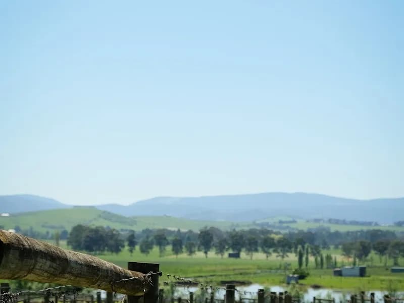 Crittenden Estate Winery winery in VIC