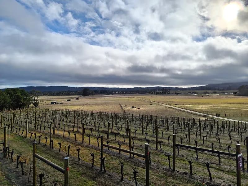 Lake Moodemere Vineyard winery in Rutherglen, VIC