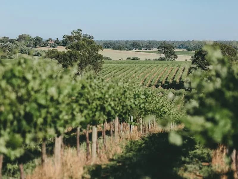 Wombat Forest Vineyard winery in VIC