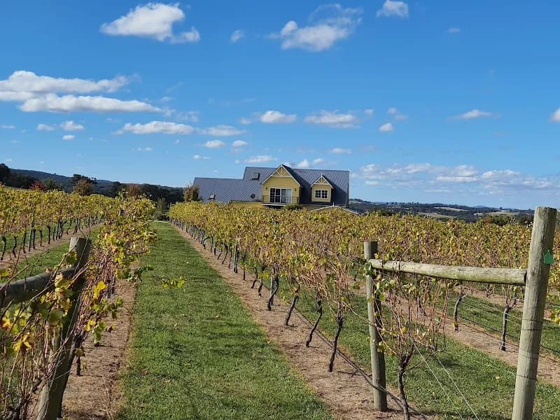 Morrisons Winery winery in Glenrowan, VIC