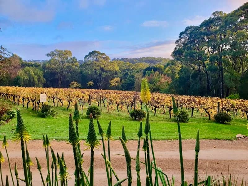 Chrismount winery in VIC