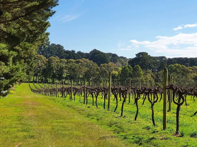 Chrismount winery in VIC