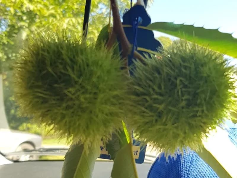 Shaws Road Winery winery in Arthurs Creek, VIC