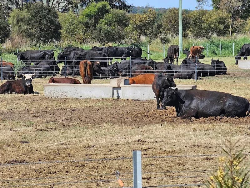 Old Apple Shed winery in VIC